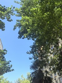 心理学中的依恋理论告诉我们，母亲是孩子生命中的第一个“安全基地”。母亲的存在，让无数人拥有了面对世界的勇气。愿所有母亲们也能找到自己的心灵港湾，在疲惫时允许自己休息，在付出时不忘自我滋养。配图