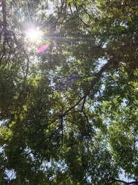 真正的成熟，或許始于接納理想化的必然破滅，并在廢墟之上重建對真實生活的熱愛。配圖