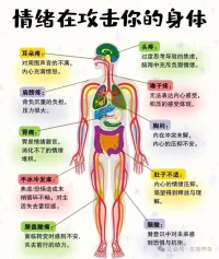 你忽略的情緒，身體都記得。