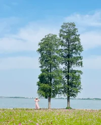 婚姻是兩個獨立靈魂的共舞，而非一方對另一方的依附或讓渡。