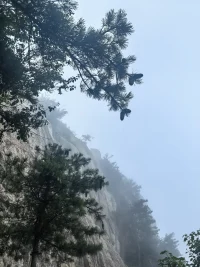 討好、依賴、控制、過度干涉
害怕分開等都提示我們需要清晰的人際界限
勇敢說不
真正做到獨立自主
這需要設置一些清新的、明確無誤的，不容侵犯的界限。配圖