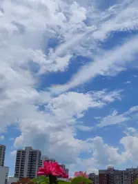 你所不知道的潛意識(shí)
需要被看到，被鏈接，被療愈配圖