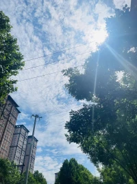高功能焦慮（HFA）與阻礙型焦慮并不相同，阻礙型焦慮癥通常被定義為因過于嚴(yán)重的焦慮使得個體無法正常工作、照顧自己以及維持人際關(guān)系。
而患有高功能焦慮的人，比如我，盡管內(nèi)心飽受焦慮癥癥狀困擾，但日常生活中仍能維持正常表現(xiàn)。
HFA目前并未被公認(rèn)為是一種焦慮障礙。
盡管有人認(rèn)為這是因為患者在他們的日常生活中表現(xiàn)得相當(dāng)正常，但HFA的影響可能是極端嚴(yán)重的，會影響生活質(zhì)量，引起強烈的孤獨感和脫節(jié)感。