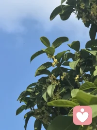 相信自己，然后要去做事，拿到成果，主體感才能被夯實。配圖