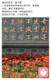 好好的配圖