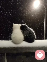 身體能量來自吃和睡，吃得健康，睡的踏實。

心理能量來自關系和自愛，自愛是內生能量，關系是外補能量。配圖