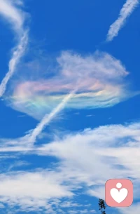 永遠不要失去體驗的能力，和自己是具有獨特價值個體的信念。配圖