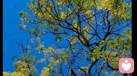 高三心态自救指南：如何在焦虑和排名中，守住那个“不崩溃”的自己 ？