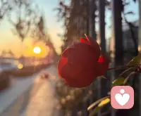 真正的改变，往往始于“知道”之后的路。