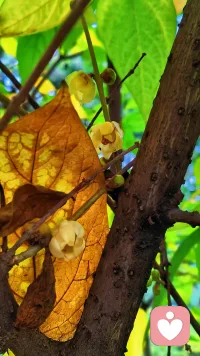 当你的潜意识没有进入你的意识得时候，那就是你的命运。
——卡尔荣格配图