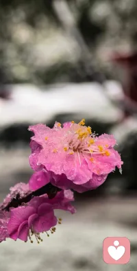三八节快乐啊！愿我们每个人都不被性别所定义，可以做个温柔细腻的男性，也可以做个豪爽大方的女性。
我们都先是人类本身，再是性别上的男女。
愿我们所做的每件事都是出于内心渴望，而非性别枷锁！配图