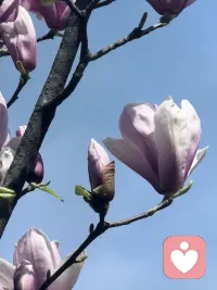 人天生就有与他人的关系需要。正如我们的生理存活需要空气，我们的精神存活和心理成长，需要和他人的关系和连接。