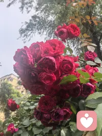 一个人，如果是独立的个体，就不能让另一个人随意地进出自己的生活。你需要的时候，可以让他人进入你的生活，不需要的时候，也可以拒绝他们。
同样，我们真的爱一个人，就要节制自己，不要随意进出别人的生活。