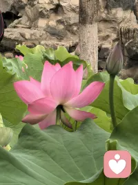 惊觉万般大事皆短暂，一瞬抵永恒。