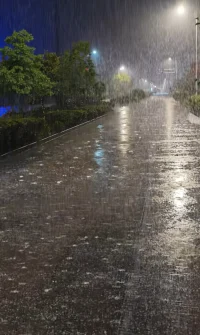 昨夜星辰昨夜雨，今晨朝陽映滿天。過往云煙隨風去，碧空萬里共此時。配圖