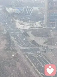 春桃花開的時節(jié)，竟雪花紛飛，永遠(yuǎn)不變的定律就是——一切事物永遠(yuǎn)都是變化無常的，東北的春天真的很任性配圖
