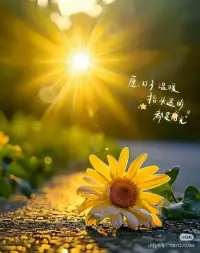 只要一直在變好，慢一點(diǎn)也沒關(guān)系。
相信日日是好日，事事是好事！配圖