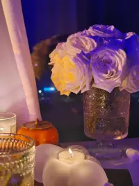 接受情緒   

刺猬永遠(yuǎn)做不了別人懷里的貓配圖