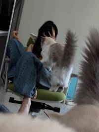 就算全世界都抛弃你
你的小猫也不会不要你
喵～