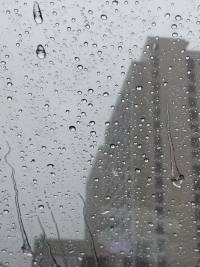 武汉的下雨天啊
总是会让人莫名的安静
