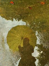 武汉的下雨天啊
总是会让人莫名的安静