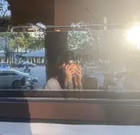 抑郁、焦虑和恐慌不是软弱的象征，
它们只是说明你曾试图坚强了太久。配图