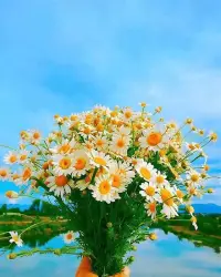 ?能果斷放棄的關(guān)系，都不會傷害到你，糾纏、共生的關(guān)系才會帶來一部分的傷害。但之所以糾纏，其實是因為關(guān)系對你來說不僅有傷害，也能帶來很多好處。

任何情緒的背后都隱藏著關(guān)系，比如，抱怨的背后通常隱藏著糾纏不清的關(guān)系，以及當(dāng)時未能及時疏導(dǎo)的情緒。

抱怨有用嗎？從情緒疏導(dǎo)的角度看，是有一定作用的，至少比一直壓抑自己要好一些。但如果缺少自我覺察和外界抱持，抱怨就會成為強(qiáng)迫性重復(fù)，抱怨者本人也容易淪落成討人嫌的悲催人物。配圖