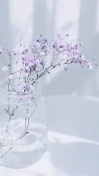 抱怨越厲害的人服從性越高。配圖