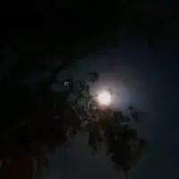 若你决定灿烂，山海无拦；若你心有远方，风尘皆成诗行
——人生辽阔，别只活在踌躇里配图