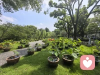 七月的第一天，也是下半年的开始，愿你抛掉上半年的烦恼，在下半年收获满满幸福；愿下半年：成功为你开道，愿开心为你开头，好运与你相伴，吉祥时刻围绕。🌹☀️❤️🌺😊🎉