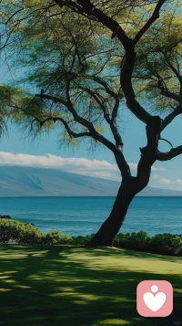 得失皆是寻常，心宽一寸路宽一丈，怀感恩之心，拥简单之乐。配图