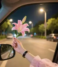真正的認知，不是你看透了世界，而是你敢于承認：世界，不過是一場由你自己的認知，所投射出的幻象。
放下幻想，你才能醒覺。配圖