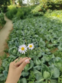 生活或許偶有陰霾，但你是自己的小太陽。配圖