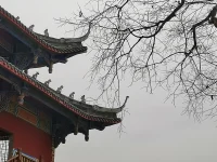 自由的第一課，是接受沒(méi)有人愛(ài)你！配圖