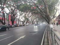 成長的經歷大概就是讓人變得越來越安靜！配圖