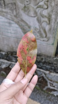 再干净的人也会被指点，人们不是因为我们有了过错才指点，而是指点了我们，才能显得他们是干净的人。配图