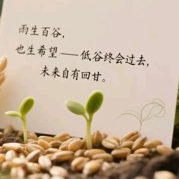 晴柔