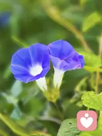 心理學家認為：
頭腦上的知道只是不到5%的表意識認知
而身體是我們最大的潛意識儲存器

我們恐懼、焦慮、無助、擔心，
如果無法認知背后的動機和原因，
這些感覺和情緒會不斷消耗著我們……