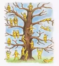 很爆的一個(gè)心理測試：圖片這棵樹上有21個(gè)小人，10秒內(nèi)選擇你最想站在的位置。根據(jù)你的選擇數(shù)字，對(duì)比一下答案
選擇【1.3.6.7
說明你很積極，對(duì)待一切都非常熱情，永遠(yuǎn)擁有著陽光，這就是你的特質(zhì)。面對(duì)未來和一些困難，你會(huì)樂觀面對(duì)。你認(rèn)為所有的挫折都是靠自己去打敗的，所以這樣的人就很容易取得成功。
選擇【2.11.12.18.19
你在朋友心里是有著很強(qiáng)的魅力。你的地位也是堅(jiān)固的。如果朋友快樂，你愿意和他分享喜悅。如果朋友遇到困難，那么第一個(gè)站出來的人永遠(yuǎn)也是你，所以你的仗義是大家最喜歡的。
選擇【4
說明你對(duì)于物質(zhì)生活要求并不是很高，你想要的是一種隨遇而安的日子。特別重視精神上的安逸，你懼怕創(chuàng)新，所以你很害怕你那種按部就班的生活被任何事情打破。不管做任何事上，你都是希望能夠一帆風(fēng)順，不受任何阻礙。
選擇【5
這個(gè)選擇說明你有一些悲觀。平時(shí)你很難讓一些事引起你的注意，你喜歡把自己的苦悶、煩惱統(tǒng)統(tǒng)都堆壓在自己的心中。有心事也不愿意向他人抱怨、述說，就算想說你也找不到傾訴的方式。所以你的生活并沒有什么動(dòng)力。
選擇【9
這個(gè)選擇說明和朋友們?cè)谝黄饡r(shí)，大家之間的氣氛都是離不開你的，因?yàn)槟愫芑钴S。做事不拘小節(jié)，對(duì)人也沒有心機(jī)，你覺得相處就是要簡單。你還有很大的好奇心，只要是你覺得好的，你就能把他變出個(gè)花樣來。
選擇【13.21
這個(gè)選項(xiàng)來說，雖然表面上你是外向的，可你卻又很孤獨(dú)。你把心都封閉起來，你喜歡逃避，也喜歡把自己包裹得很嚴(yán)實(shí)，不愿意和別人去分享自己的一切，也不擅長和他人交往
選擇【8
選擇這個(gè)說明你善良，但是因?yàn)槟阌袕?qiáng)烈的自尊心，總會(huì)讓人感覺有一些小驕傲。喜歡幻想，給自己幻想出一個(gè)世界讓你活在里面，不在意他的想法。你就是典型的撞了南墻也不會(huì)回頭
選擇【10.15
低俗是你討厭的，你一直崇尚的就是高尚。把生活過得很有品質(zhì)，不是自己的你不想要。但是只要是自己的，拼盡全力也要拿到。
選擇【14
經(jīng)常處于進(jìn)退兩難的狀態(tài)。不管是生活里還是感情中，你都不愿意去做出改變。
選擇【20
出生開始你就想做一個(gè)王者，你想成為團(tuán)隊(duì)里的領(lǐng)導(dǎo)者。你會(huì)因?yàn)槟愕母甙磷源笕σ恍╆P(guān)心你的人
選擇【16
習(xí)慣于依賴別人，總希望做任何事情都能得到別人的幫助，別人能成為你的依靠，神經(jīng)大條的你其實(shí)內(nèi)心很敏感。
選擇【17】
你是一個(gè)讓大家非常信賴的人。但是你的內(nèi)心很孤獨(dú)，所以你喜歡交朋友，喜歡得到朋友的關(guān)注配圖