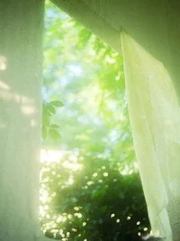 高级的孤独不是没人陪  
而是人群中依然感觉  
“无人共享此刻的月光” 
这不是性格问题  
而是灵魂在提醒：  
该寻找更深层次的连接了配图