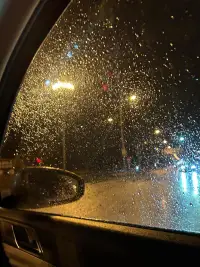 每天下班后坐在車里發呆的10分鐘  
不是浪費時間  
而是大腦在完成  
從'社會角色'到'真實自我'的  
重要切換儀式配圖