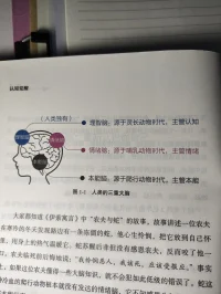 重新認識自己知識科普:

人是世界上最高級的動物，可見我們人類與這個世界上其他動物已經截然不同在我們的大腦里，由內至外至少有三重大腦 : 年代久遠的本能腦，相對古老的情緒腦和非常年輕的理智腦。

通過下圖便足以說明為什么我們的情緒會經常控制我們的理智腦，配圖