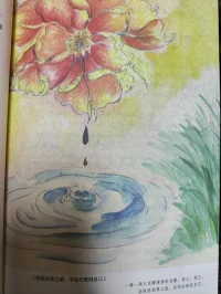 在有限的生命里，有限的爱只能给予少数特定的对象，而这些特定的对象中首先应是我们自己。从小到大，我们所受到的教育都是“与集体、与他人相比，我不重要 ” 。因为害怕来自别人异样的眼光，害怕被批判，我们不敢大声的说出 “ 我很重要 ” ，由此丢失了自己。配图