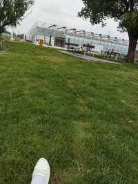 微風，陽光，自然的懷抱配圖
