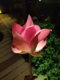 阻碍你前进的，往往不是困难本身，而是它的未知和由此产生的负面想象。它在你的脑袋里被妖魔弄得无比巨大、不可战胜。