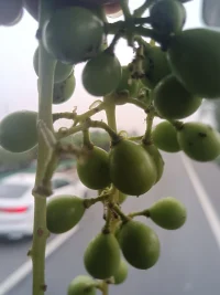 每一種情緒都有它的意義，都是你獨(dú)一無(wú)二的聲音配圖