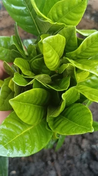 決定你情緒的，不是事件本身，而是你對事件的看法。真相是：90%的煩惱，都是你給自己加的戲。請別煩自己。配圖
