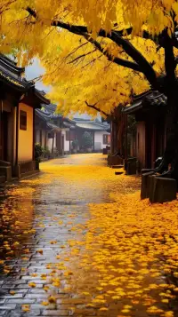 解决问题有时候需要两个人
但追求幸福只要一个人就够了
就是这个理儿！