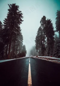 真理永遠只在你的內心中，外界的事物并不能真的左右你的信念配圖