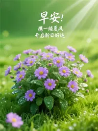 一個(gè)人，身體健康是必要的是基礎(chǔ)，心智成長(zhǎng)是需要的是追求，靈性提升是重要的是終極目標(biāo)。早安！